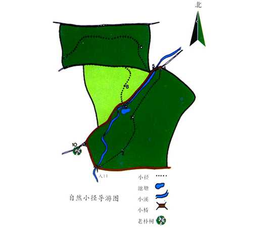 南京中山植物园导览图