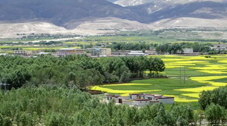 西藏尼木吞巴景区1