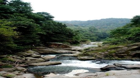 百丈山景区风景名胜区_旅游指南_景区攻略_门票信息