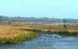 鸟类湿地自然保护区