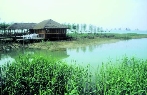 太湖湿地景观