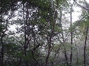 宝华山国家森林公园风光