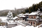 宝华山国家森林公园冬景