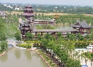 中国扬子鳄村