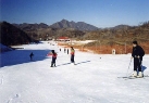 牡丹江丰收村滑雪场一角