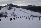 香格里拉滑雪场风景