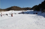 伊春名人滑雪场12