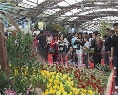花卉展览园