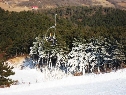 沈阳白清寨滑雪场19