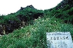 小三峡-龙骨坡古猿人遗址