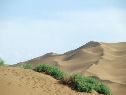 武威沙漠公园4