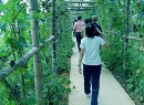 千米绿色果蔬长廊