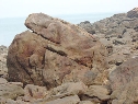 海蚀石
