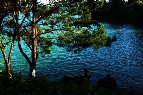 美丽的万绿湖1