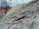 化石长廊