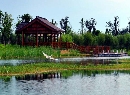 江苏大阳山国家森林公园3