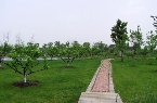 苏州中国花卉植物园8