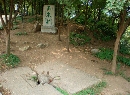 玉泉井