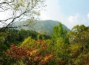 8松山森林旅游区