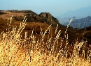 3黄草梁自然风景区_结果