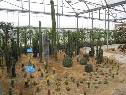 沙生植物园