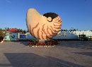 鹦鹉螺广场