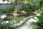 椰风池